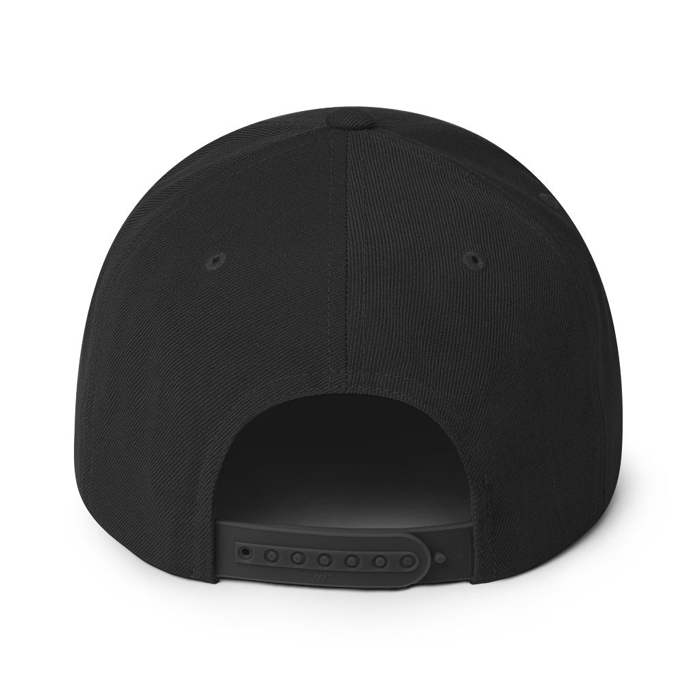 Washington State Silhouette 6 Panel Snapback Hat