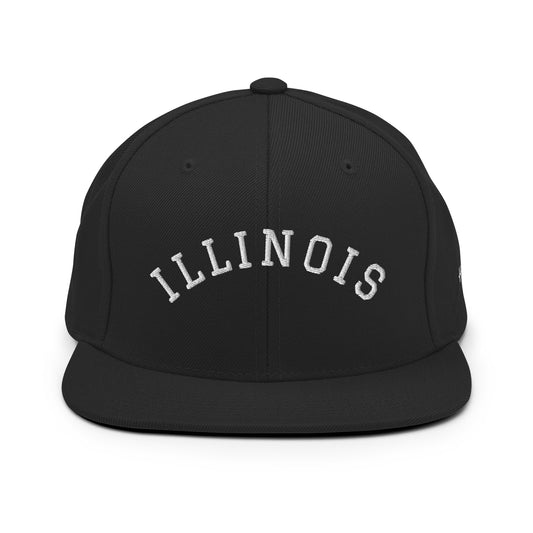 Illinois Arch 6 Panel Snapback Hat