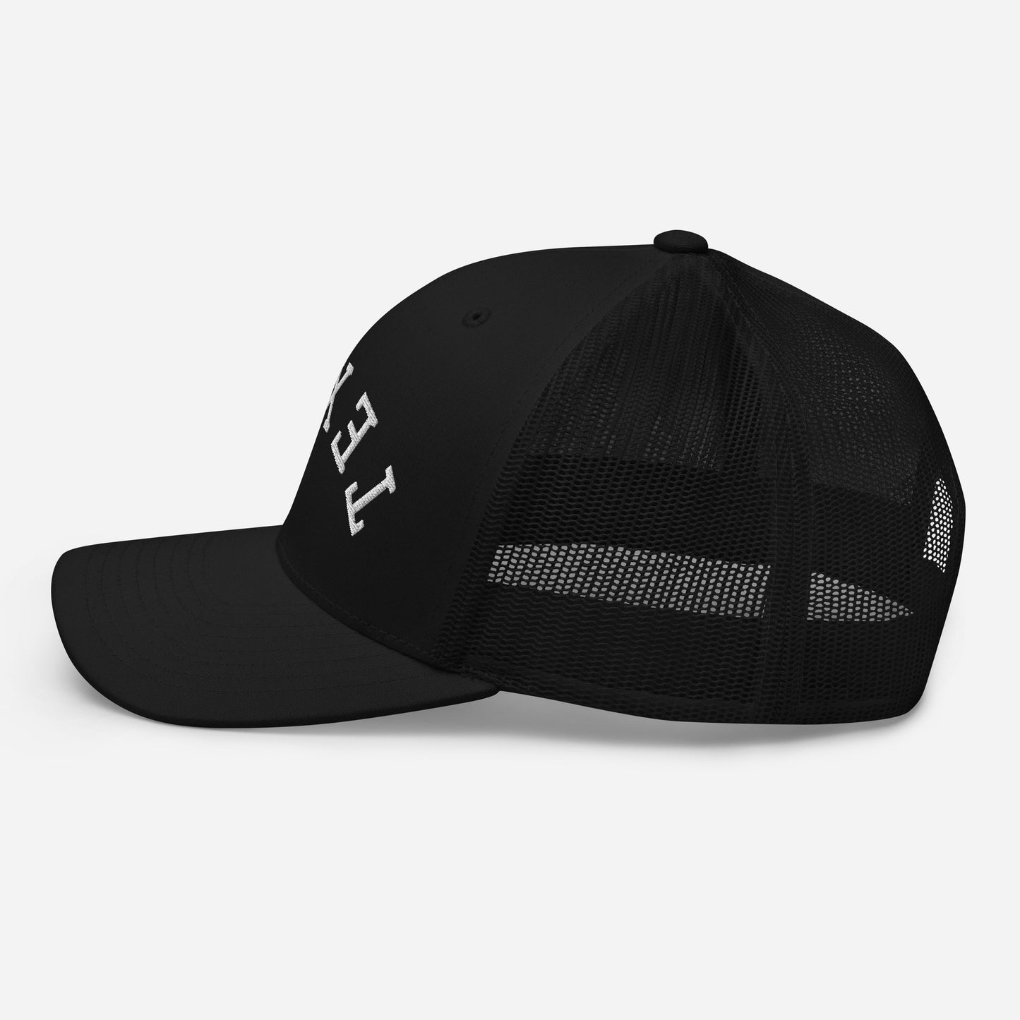 Texas Upside Down Arch Mid 6 Panel Snapback Trucker Hat